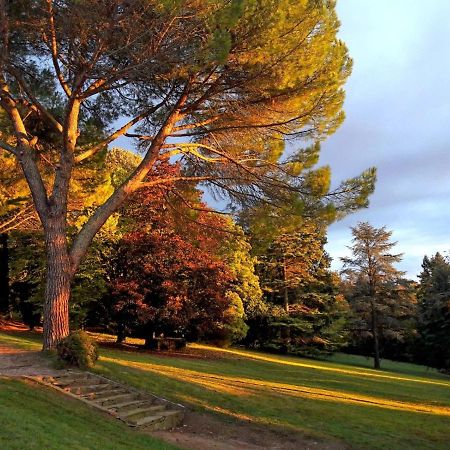 Domaine De Gailhaguet B&B Verfeil  Eksteriør bilde