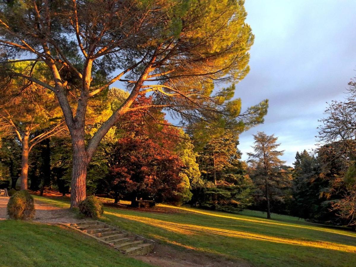 Domaine De Gailhaguet B&B Verfeil  Eksteriør bilde